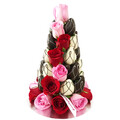 25cm Red/Pink Black & White Strawberry Tower (Small)